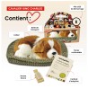 Perfect Petzzz - Chiot Cavalier King Charles