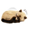 Perfect Petzzz - Chaton Siamois