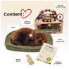 Perfect Petzzz - Chiot Labrador brun