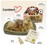 Perfect Petzzz - Chaton Angora