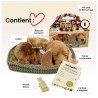 Perfect Petzzz - Chiot Croisé