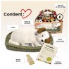 Perfect Petzzz - Chiot Jack Russel