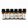 Huiles essentielles 6 flacons 10ml - assortiment n°1
