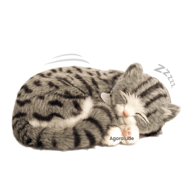 Perfect Petzzz - Chaton Tigré Gris