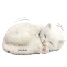 Perfect Petzzz - Chaton Blanc